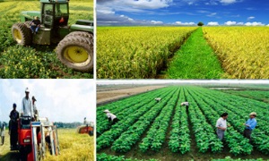 Khơi thông dòng vốn cho tam nông - những điểm mới trong Nghị định 55 của Chính phủ